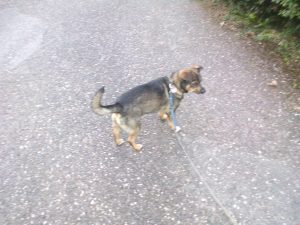 bilder-regina-hany-1033