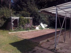 bilder-regina-hany-1037