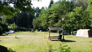 bilder-wild-2115-kopie